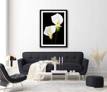 Load image into Gallery viewer, Calla Lily - Study 6