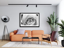 Load image into Gallery viewer, Rose Petals