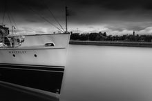 Load image into Gallery viewer, Waverley