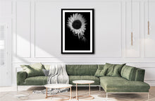 Load image into Gallery viewer, Sunflower - Study 4
