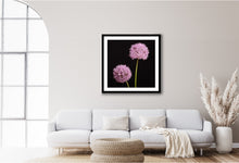 Load image into Gallery viewer, Allium - Study 3