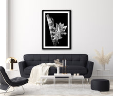 Load image into Gallery viewer, Pineapple Plant - Study 2