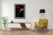 Load image into Gallery viewer, Calla Lily - Study 5