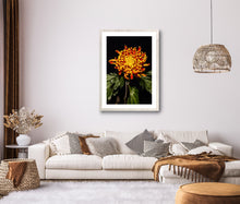 Load image into Gallery viewer, Chrysanthemum - Study 2