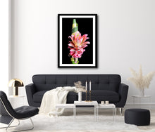 Load image into Gallery viewer, Pineapple Plant - Study 1