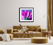 Load image into Gallery viewer, Gerbera - Study 3