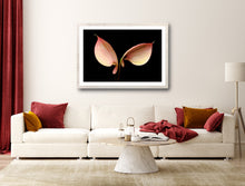 Load image into Gallery viewer, Anthurium - Study 2