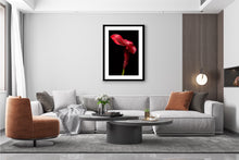 Load image into Gallery viewer, Calla Lily - Study 3