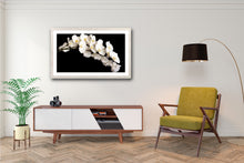 Load image into Gallery viewer, Cascade Orchid - Study 2