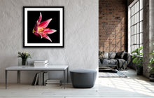 Load image into Gallery viewer, Lilium - Study 7