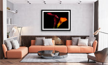Load image into Gallery viewer, Calla Lily - Study 1
