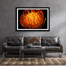 Load image into Gallery viewer, Ornamental Pincushion - Study 2