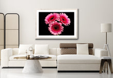 Load image into Gallery viewer, Gerbera - Study 4