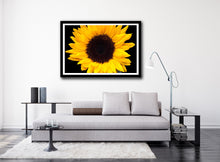 Load image into Gallery viewer, Sunflower - Study 2