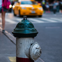 Load image into Gallery viewer, Hydrant