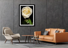 Load image into Gallery viewer, White Rose