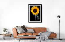 Load image into Gallery viewer, Sunflower - Study 3