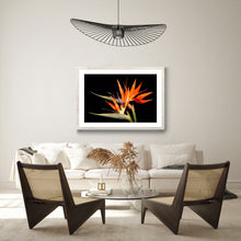Load image into Gallery viewer, Bird of Paradise - Study 3