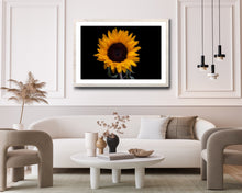 Load image into Gallery viewer, Sunflower - Study 1