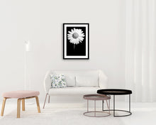 Load image into Gallery viewer, Oxeye Daisy - Study 1