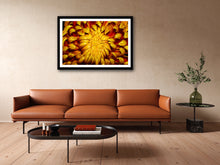 Load image into Gallery viewer, Chrysanthemum - Study 4