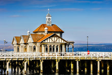 Load image into Gallery viewer, Fading Splendor