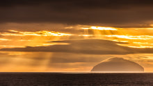 Load image into Gallery viewer, Golden Rays