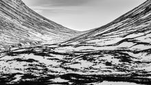 Load image into Gallery viewer, Sweeping Snow