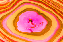 Load image into Gallery viewer, Parallax