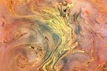 Load image into Gallery viewer, Phoenix