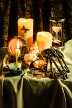 Load image into Gallery viewer, Securitas