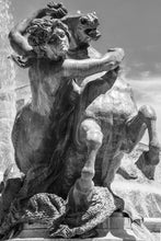 Load image into Gallery viewer, Naiad
