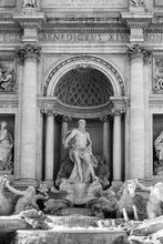 Load image into Gallery viewer, Oceanus II
