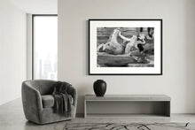 Load image into Gallery viewer, Triton

