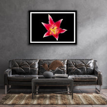 Load image into Gallery viewer, Lilium - Study 4
