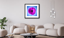 Load image into Gallery viewer, Gerbera - Study 1
