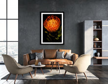 Load image into Gallery viewer, Ornamental Pincushion - Study 1
