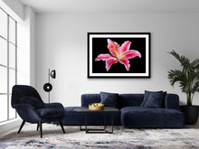 Load image into Gallery viewer, Lilium - Study 2
