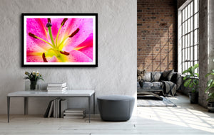 Lilium - Study 6