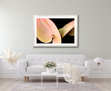 Load image into Gallery viewer, Anthurium - Study 1

