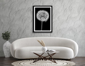 Dandelion Clock