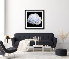 Load image into Gallery viewer, Hydrangea - Study 4
