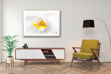 Load image into Gallery viewer, Cascade Orchid - Study 1
