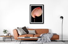 Load image into Gallery viewer, Anthurium - Study 4

