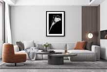 Load image into Gallery viewer, Calla Lily - Study 2
