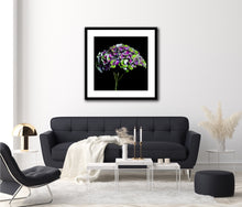 Load image into Gallery viewer, Hydrangea - Study 6
