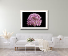 Load image into Gallery viewer, Allium - Study 1
