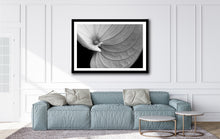 Load image into Gallery viewer, Anthurium - Study 3
