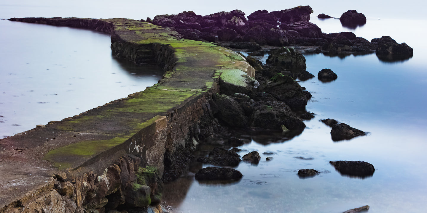 Largs - Study 2