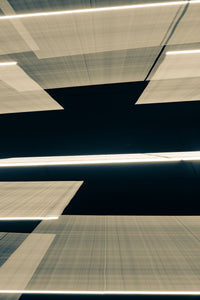 Zoom City - Study 4